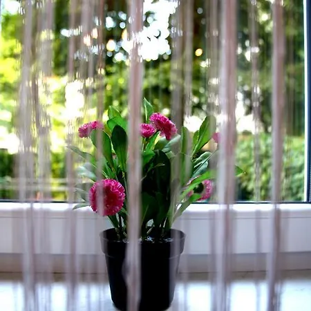 아파트 아파르타먼티 아스투르