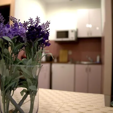 아파트 아파르타먼티 아스투르 *